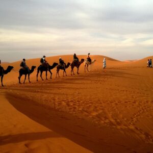 Trek 4 Days Explore Desert Mhamid With Camels